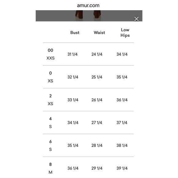 AMUR Silk Floral Puff Sleeve Elise Mini Dress Size 2 Floral Pastel Blue - Picture 11 of 11